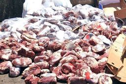 کشف ۳ تن گوشت الاغ در پایتخت