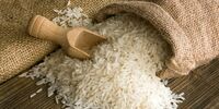  کالاهای اساسی با قیمت جدید به بازار آمد – ۳ مرداد ۱۴۰۴