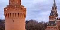 ویتکاف فاش کرد: معامله پشت پرده قدرت‌ها؛ ۳۱۴ اسیر در تبادل جنجالی آمریکا، روسیه و اوکراین!