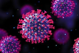 روش‌های انتقال ویروس HPV
