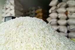 جنجال بزرگ برنج: مجلس دولت را به صحنه آورد!
