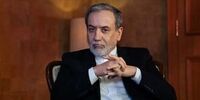 زمان دور بعدی مذاکرات از زبان بقایی + فیلم
