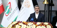 فوری: دروغ بزرگ عدم فرار سرمایه افشا شد!