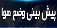 زنگ خطر به صدا درآمد: ۵۹ میلیون راس دام در ایران واکسینه شدند؛ پشت پرده چیست؟