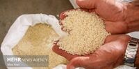 افشاگری تکان‌دهنده عیسی کلانتری: خطای آماری برخی وزرا، دولت را به مرز بحران کشاند!