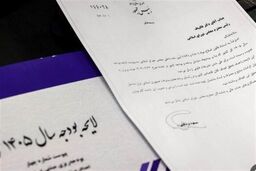 فوری: شوک بزرگ در اجرای بودجه 1405! فقط یک ضابطه، پایان کابوس ده‌ها آیین‌نامه!