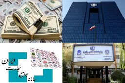 ۲۱ میلیارد دلار ارز کالای اساسی در صف انتظار: آیا وعده «تشدید تامین» سراب بود؟