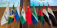عکس نشست فوق‌العاده سران بریکس