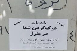 یک شغل عجیب و تازه در ایران معرفی شد 