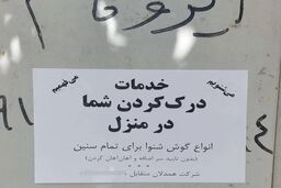 یک شغل عجیب و تازه در ایران معرفی شد 