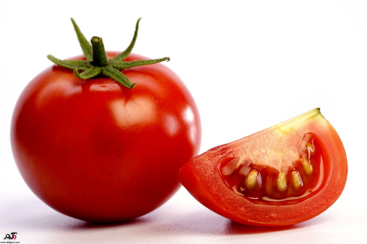 گوجه فرنگی ارزان شد؟