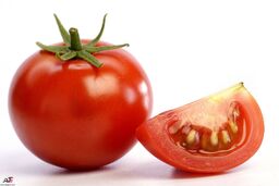 گوجه فرنگی در این تاریخ ارزان می‌شود