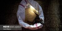 انقلاب در صنعت خودرو: قطعات خودرو با شرط و شروط ترخیص شد!