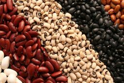 انفجار قیمت در بازار حبوبات / لوبیا چیتی طلا شد!
