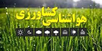 راز ماندگاری شگفت‌انگیز میوه شب عید: هرگز دور نریزید!