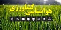 راز ماندگاری شگفت‌انگیز میوه شب عید: هرگز دور نریزید!