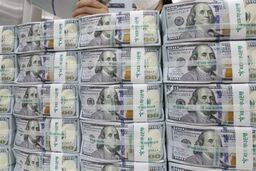 کابوس جدید بازار سرمایه: تبعات شوکه‌کننده حذف ارز ترجیحی!