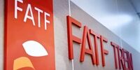 اظهار نظر عجیب میرسیلم / مردم با FATF چه کار دارند!