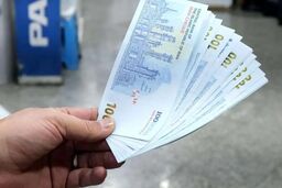 جداسازی یارانه برای خانوارهای جدید با این شرط 