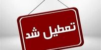 بیوگرافی عروس و داماد مجلس / فاطمه جراره کیست؟