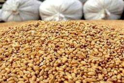 پس از حذف ارز ترجیحی: تسهیلات جدید، بار سنگین‌تر بر دوش کشاورزان!