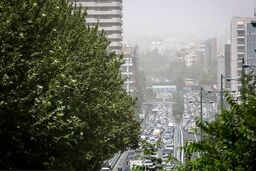مقصران آلودگی هوا به جان هم افتادند