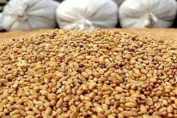 کشف پشت پرده: گشایش ارزی، دام‌ها را هم نجات داد!
