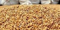 نوری قزلجه: بحران آب در کمین است؛ اعتبارات آبخیزداری 90% کمتر از نیاز!
