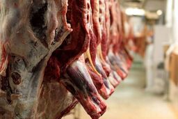 شوک بازار گوشت: رئیس شورا اعتراف کرد؛ «قیمت واقعی گم شده» و تولیدکنندگان «به اجبار» تغییر مسیر دادند!