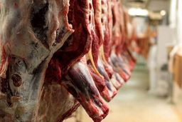 شوک بازار گوشت: رئیس شورا اعتراف کرد؛ «قیمت واقعی گم شده» و تولیدکنندگان «به اجبار» تغییر مسیر دادند!