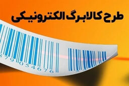 کالابرگ نگرفته‌ها بخوانند: راه حل فوری و شوکه کننده برای خانواده‌های جا مانده!