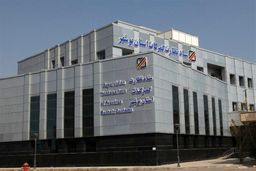 350 میلیون یورو ثروت بادآورده: رازهای سر به مهر ترخیص کالا در 9 ماه برملا شد!