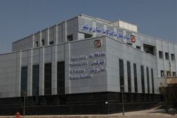 350 میلیون یورو ثروت بادآورده: رازهای سر به مهر ترخیص کالا در 9 ماه برملا شد!