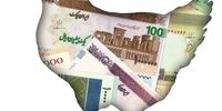 مرغ را از این قیمت بالاتر بخرید باختید!