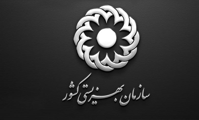 واریزی ۴ میلیونی دولت برای این افراد