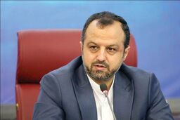 ۳ گام دولت برای تامین امنیت غذایی خانوار