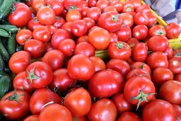 دیگر با گوجه فرنگی خدافظی کنید