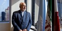 راهکار رسایی برای باطل شدن تابعیت آمریکایی فرزندان ظریف
