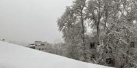  هشدار نارنجی هواشناسی صادر شد / برف، باران و رعدوبرق در راه ۱۲ استان کشور