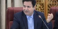 تیغ جراحی ارز ترجیحی: ناجی اقتصاد یا قاتل سفره مردم؟