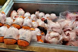 مرغ لاکچری شد / خداحافظ زرشک‌پلو! 