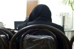 دستبرد زن سابقه دار به اموال دولتی