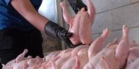 مرغ ۴ هزارتومانی در راه است؟ قیمت باورنکردنی امروز مرغ شوکه کرد!