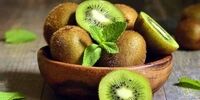 قیمت منطقی هرکیلو موز یک دلار است 