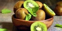 قیمت منطقی هرکیلو موز یک دلار است 