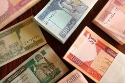 فوری: قیمت افغانی امروز ۱۵ دی ۱۴۰۴؛ باورنکردنی است!