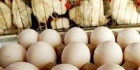 شوک ۱۰۰ همتی دولت به تولید پس از حذف ارز ترجیحی: نجات یا رانت؟
