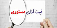 تناقض دولتی، بمب قیمت مرغ و تخم‌مرغ را فعال کرد؟