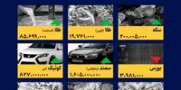 راز افتتاح ۳ طرح میگو در گناوه فاش شد: منطقه متحول می‌شود یا...؟