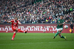 شوک جهان فوتبال: ۲۶۱مین گل هری کین که مجبورید بارها تماشایش کنید!